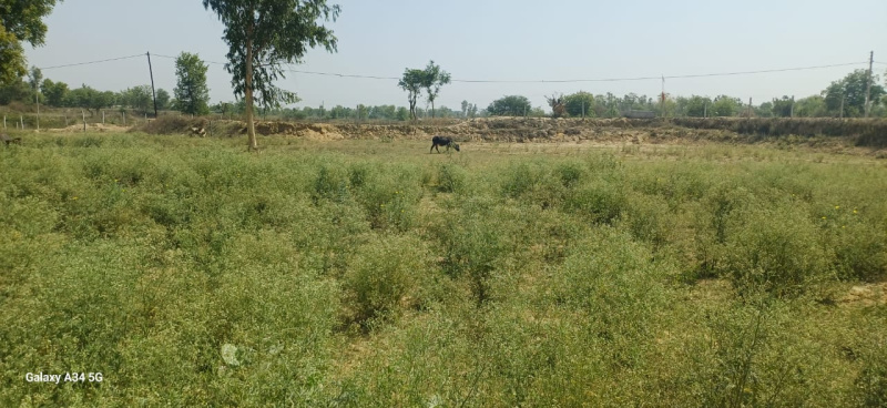  23000 Sq.ft. Commercial Land for Sale in Sultanpur Road, Lucknow