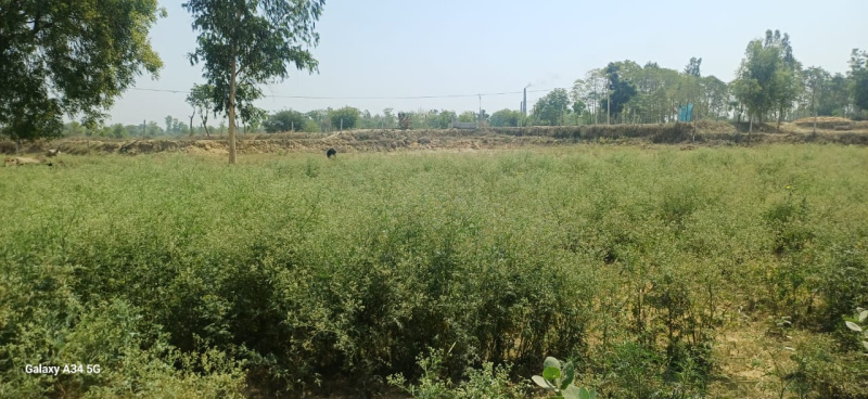  23000 Sq.ft. Commercial Land for Sale in Sultanpur Road, Lucknow