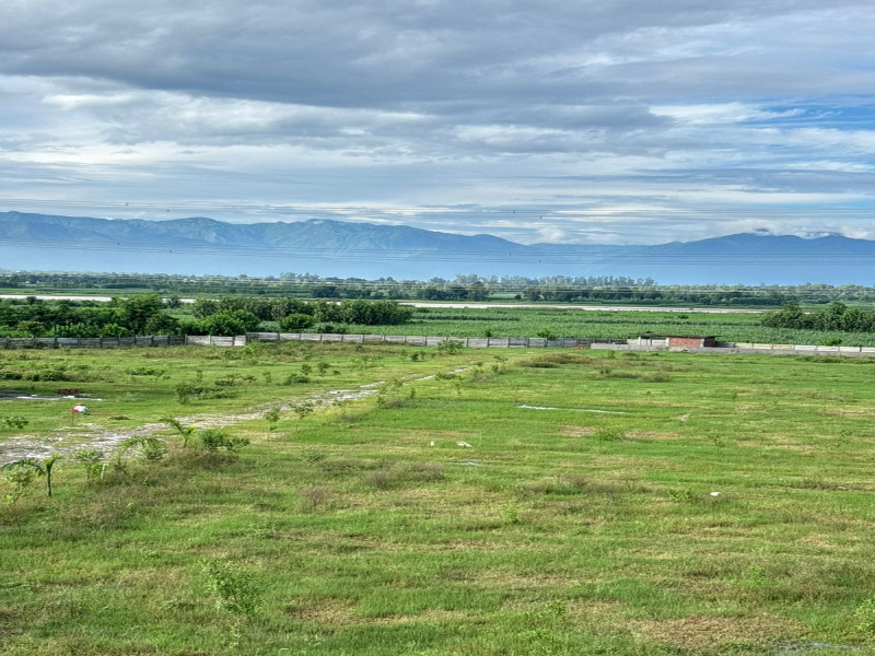  150 Sq. Yards Residential Plot for Sale in Badripur, Dehradun