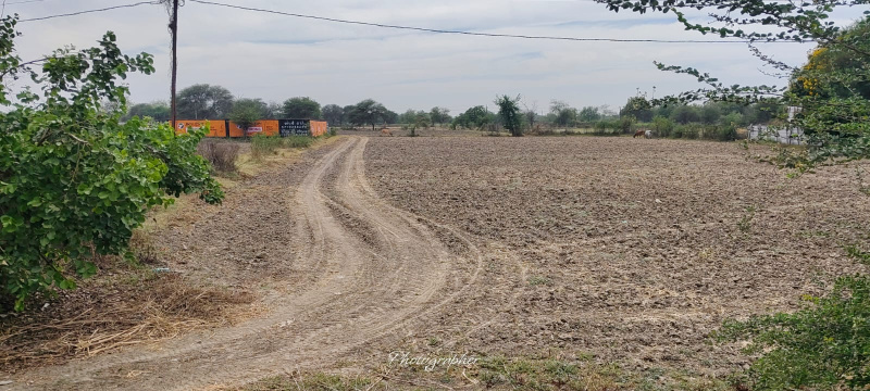  160000 Sq.ft. Agricultural/Farm Land for Rent in Dumad, Vadodara