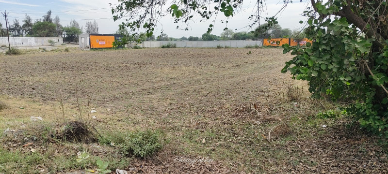  160000 Sq.ft. Agricultural/Farm Land for Rent in Dumad, Vadodara