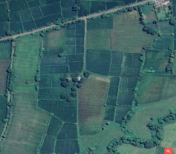  7 Acre Agricultural/Farm Land for Sale in Seoni Malwa, Hoshangabad