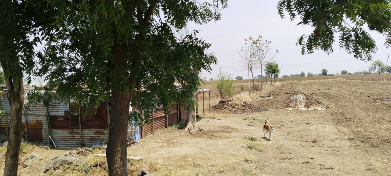  4 Acre Agricultural/Farm Land for Sale in Hinganghat, Wardha