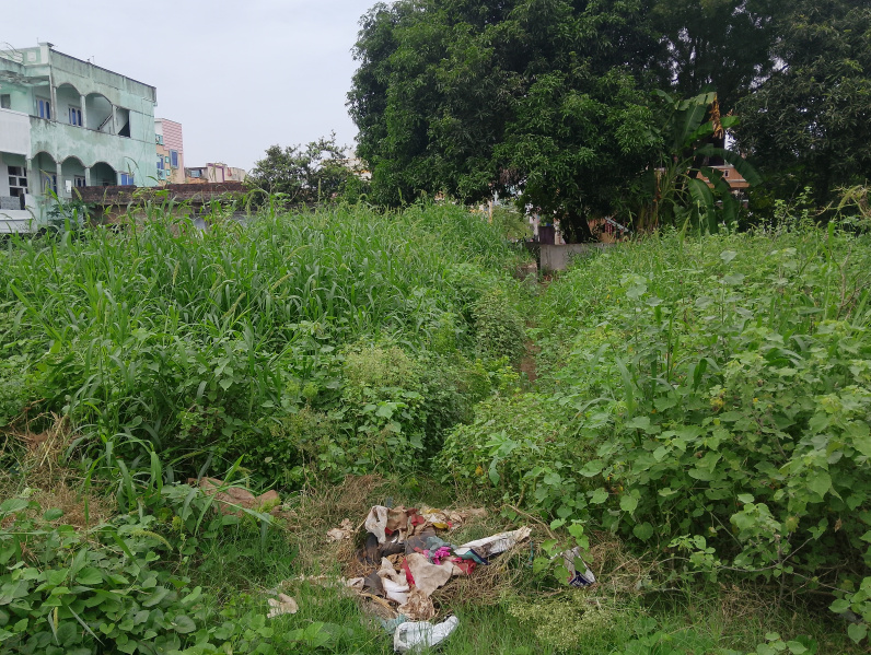  267 Sq.ft. Residential Plot for Sale in Buchireddypalem, Nellore