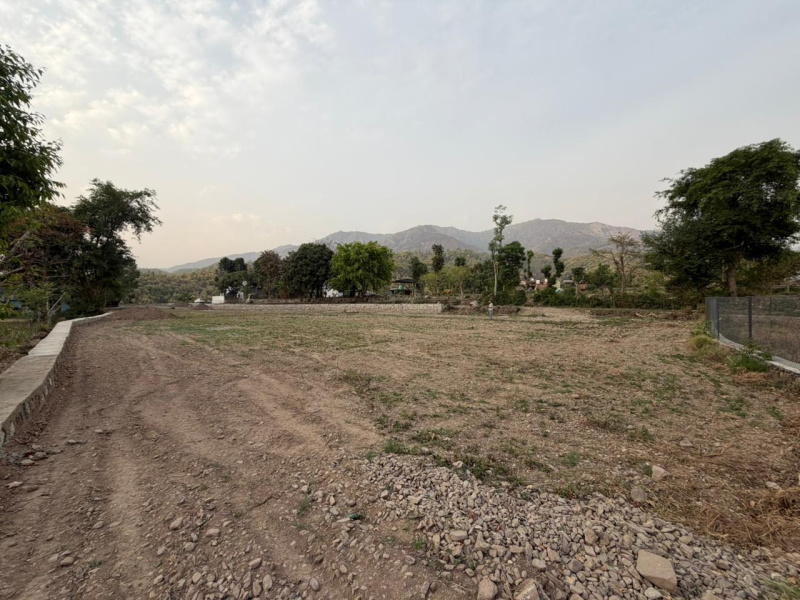  2674 Sq.ft. Residential Plot for Sale in Horawala, Dehradun