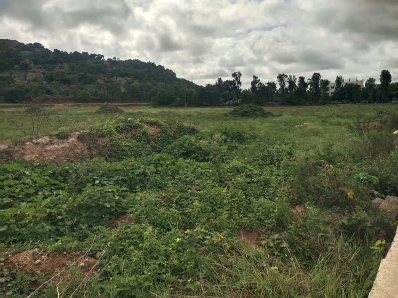  7 Acre Residential Plot for Sale in Dabaspete, Bangalore