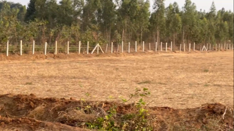  2 Acre Residential Plot for Sale in Dabaspete, Bangalore