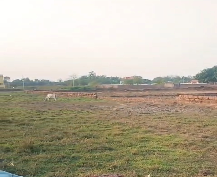  1500 Sq.ft. Residential Plot for Sale in Nuagaon, Bhubaneswar