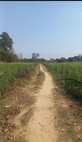  141700 Sq.ft. Residential Plot for Sale in Sultanpur Road, Lucknow