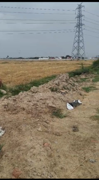  158 Sq. Yards Residential Plot for Sale in Sector 49, Bahadurgarh