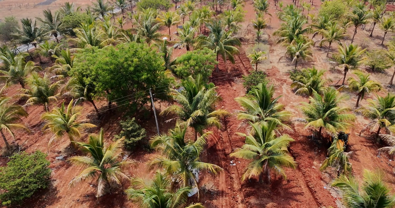  60000 Sq.ft. Residential Plot for Sale in Hindupur, Anantapur