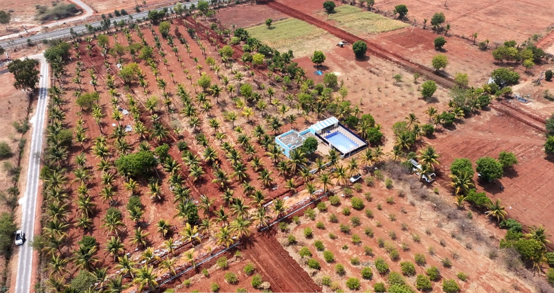  60000 Sq.ft. Residential Plot for Sale in Hindupur, Anantapur