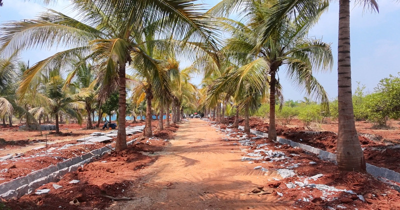  6000 Sq.ft. Residential Plot for Sale in Hindupur, Anantapur