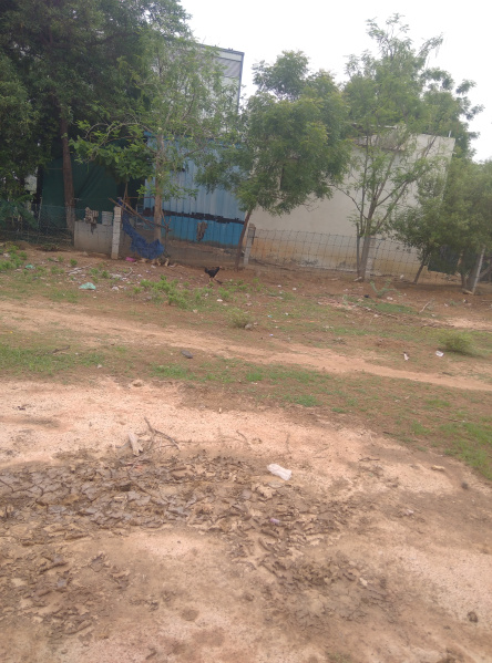  6 Cent Commercial Land for Sale in Veerapanchan, Madurai