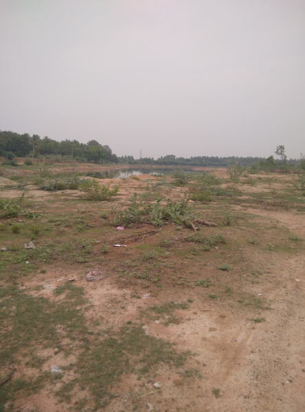  6 Cent Commercial Land for Sale in Veerapanchan, Madurai