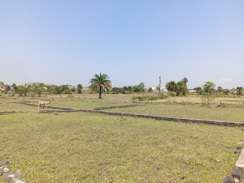  1200 Sq.ft. Residential Plot for Sale in Haldipokhar, Jamshedpur