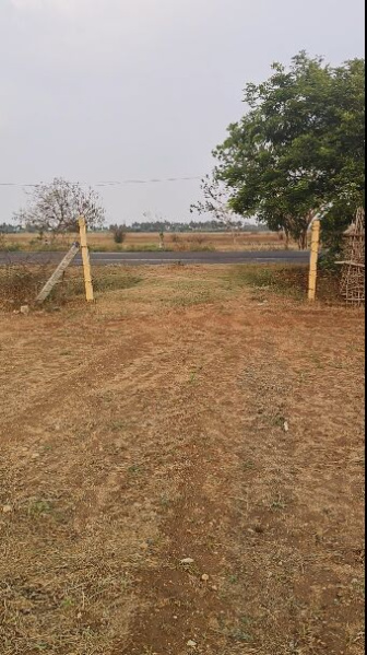  146 Cent Residential Plot for Sale in Ulundurpettai, Villupuram