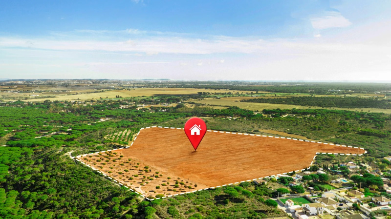  900 Sq.ft. Residential Plot for Sale in Dhanpura, Haridwar