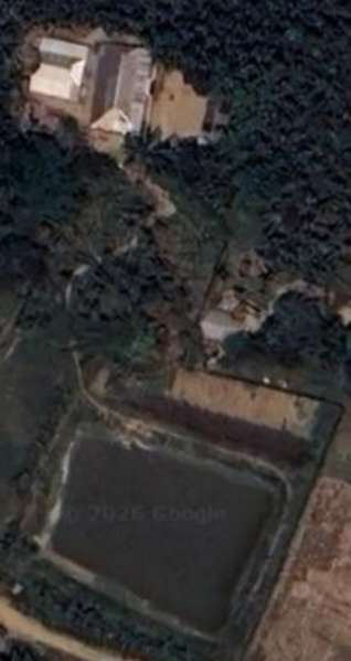  4 Bigha Residential Plot for Sale in Algapur, Hailakandi
