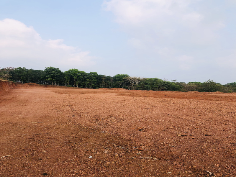  182 Cent Residential Plot for Sale in Bandiyod, Kasaragod