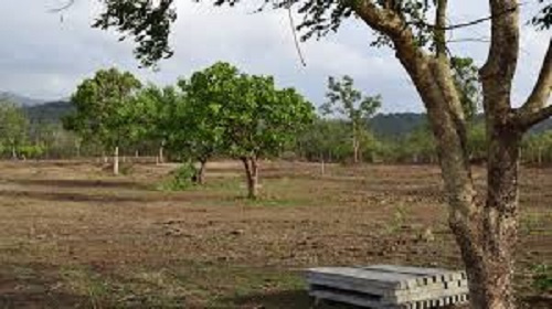  3500 Sq.ft. Residential Plot for Sale in Pirangut, Pune
