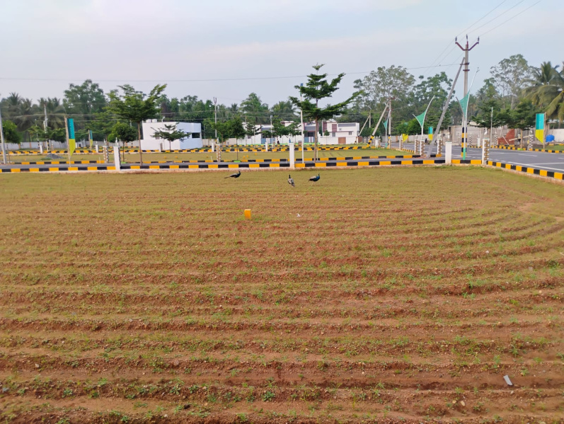  1208 Sq.ft. Residential Plot for Sale in Kovilapalayam, Coimbatore