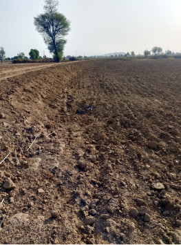  6 Bigha Agricultural/Farm Land for Sale in Khairthal, Alwar