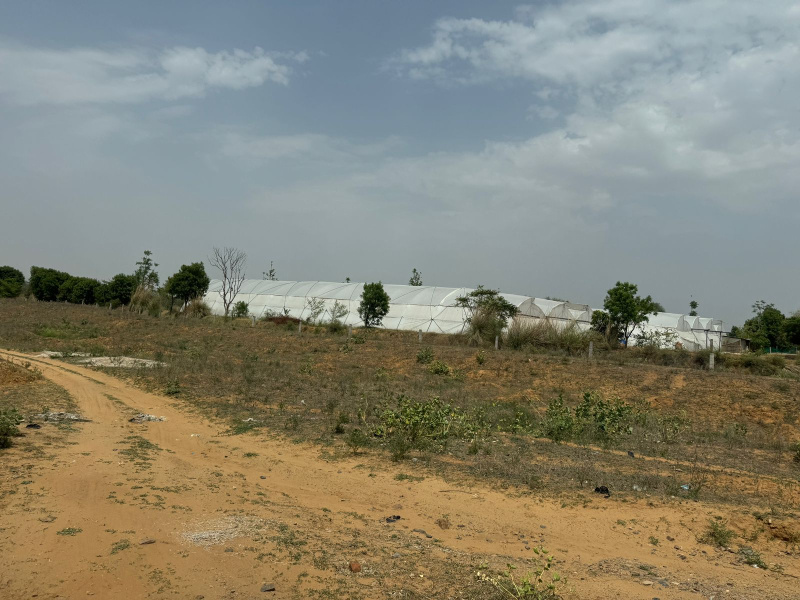  54 Bigha Agricultural/Farm Land for Sale in Lalsot, Dausa