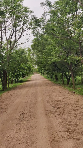  1000 Sq. Yards Residential Plot for Sale in Kukas, Jaipur