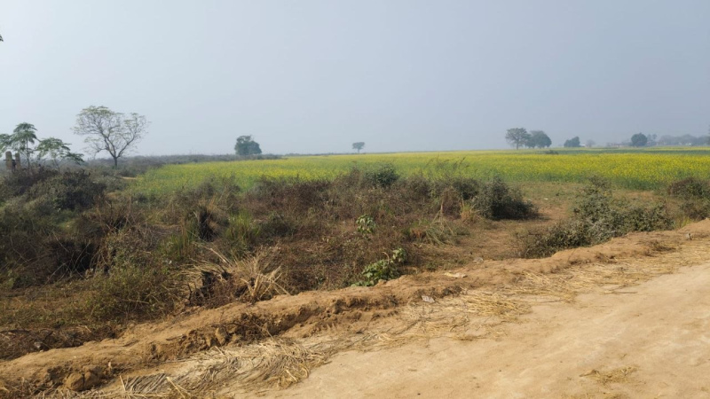  1200 Sq.ft. Residential Plot for Sale in Kanhauli, Bihta, Patna
