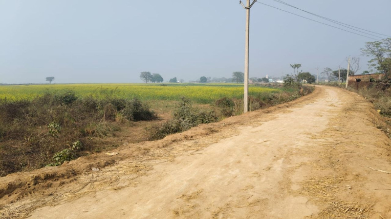 1200 Sq.ft. Residential Plot for Sale in Kanhauli, Bihta, Patna