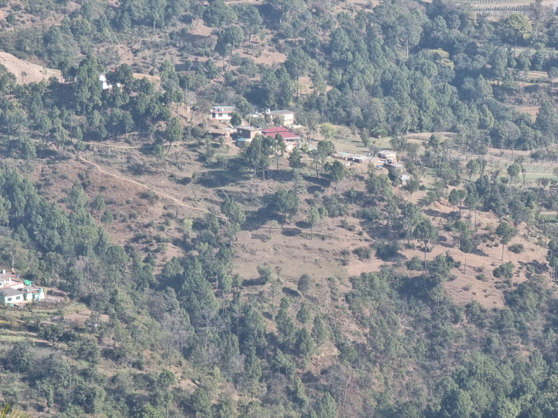  280 Biswa Residential Plot for Sale in Lawi Khurd, Solan