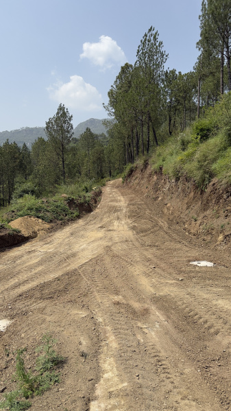  280 Biswa Residential Plot for Sale in Lawi Khurd, Solan