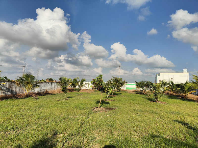  9600 Sq.ft. Agricultural/Farm Land for Sale in Maduranthakam, Chengalpattu