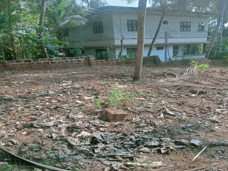  130 Cent Residential Plot for Sale in Cheruvathur, Kasaragod