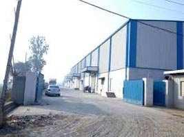  Factory for Sale in Naraina, Delhi