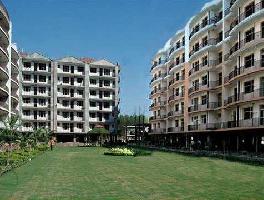 2 BHK Flat for Rent in Sector 20 Panchkula