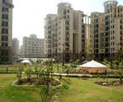 3 BHK Flat for Sale in Sector 93 Noida