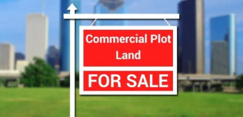  Agricultural Land for Sale in Kote, Chikmagalur