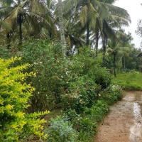  Residential Plot for Sale in Mallandur Road, Chikmagalur