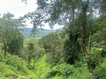  Residential Plot for Sale in Chikmagalur, Chikmagalur