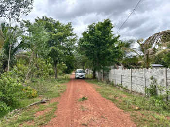  Residential Plot for Sale in Devanahalli, Bangalore