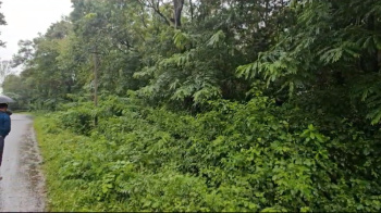  Residential Plot for Sale in Alur, Hassan