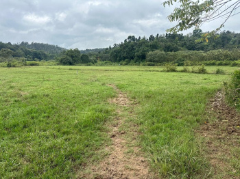  Residential Plot for Sale in Mudigere, Chikmagalur