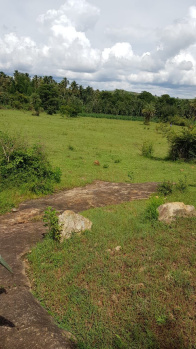  Residential Plot for Sale in Santhi Nagar, Hassan