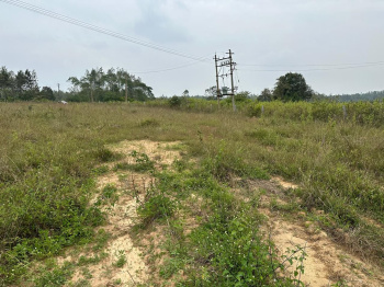  Residential Plot for Sale in Sakleshpur, Hassan