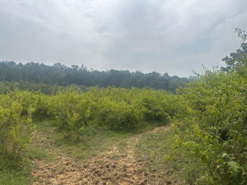  Residential Plot for Sale in Nandi Hills, Bangalore