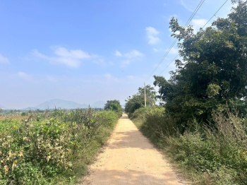  Residential Plot for Sale in Nandi Hills, Bangalore