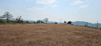  Residential Plot for Sale in Sakleshpur, Hassan