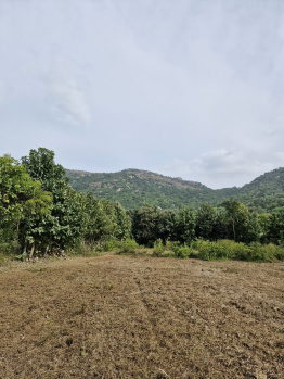  Residential Plot for Sale in Nelamangala, Bangalore